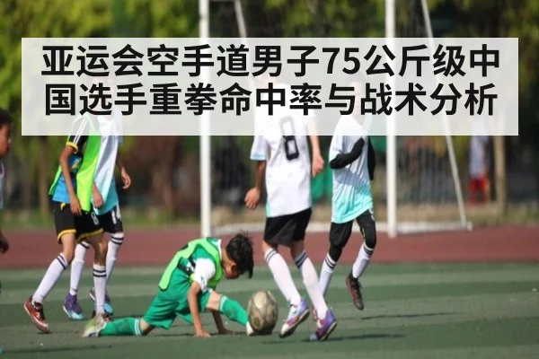 亚运会空手道男子75公斤级中国选手重拳命中率与战术分析（kaiyun sports）